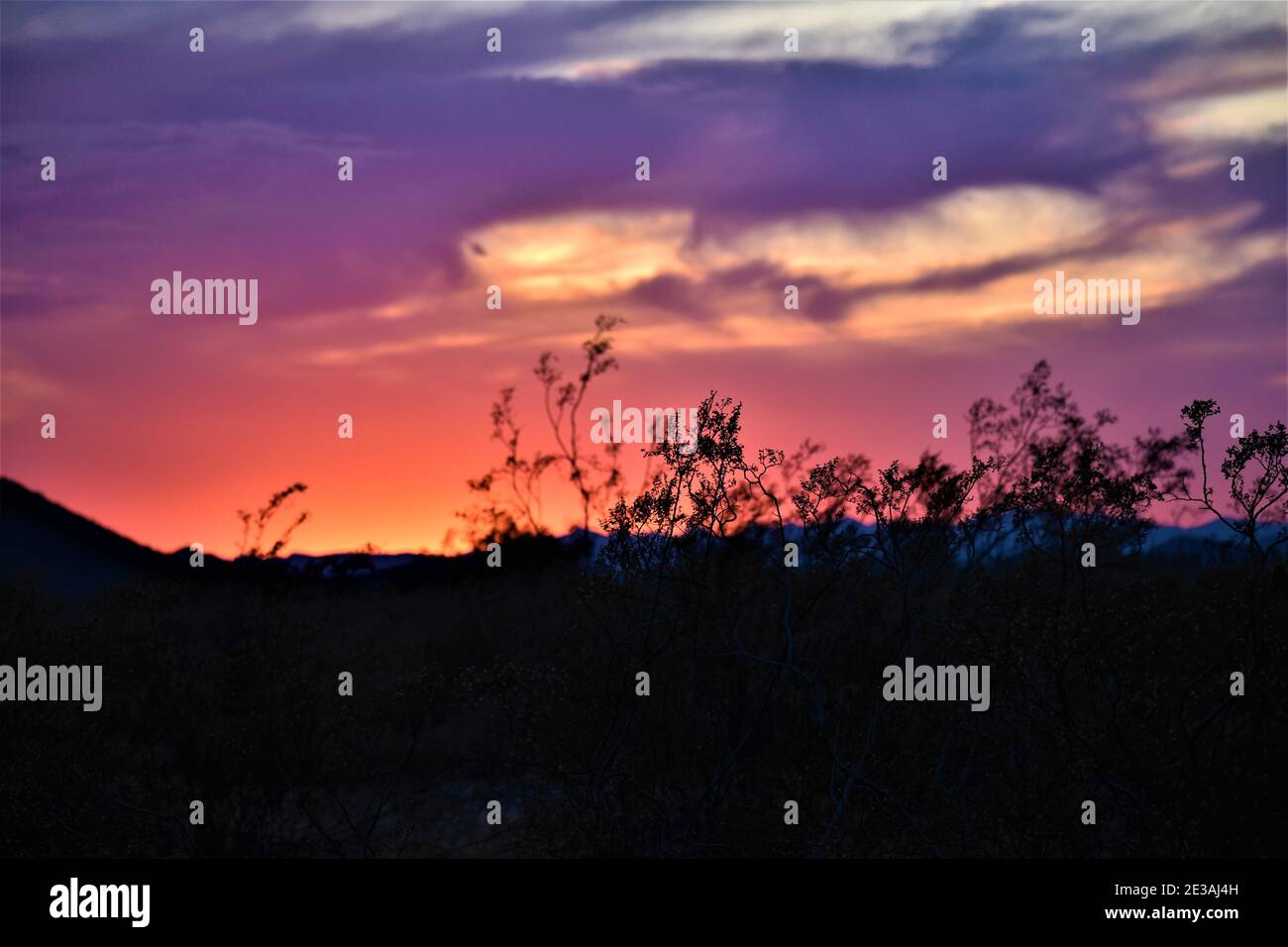 Un bel tramonto nei deserti dell'Arizona. Gli incredibili colori del cielo sono un'esperienza unica nella vita. Foto Stock