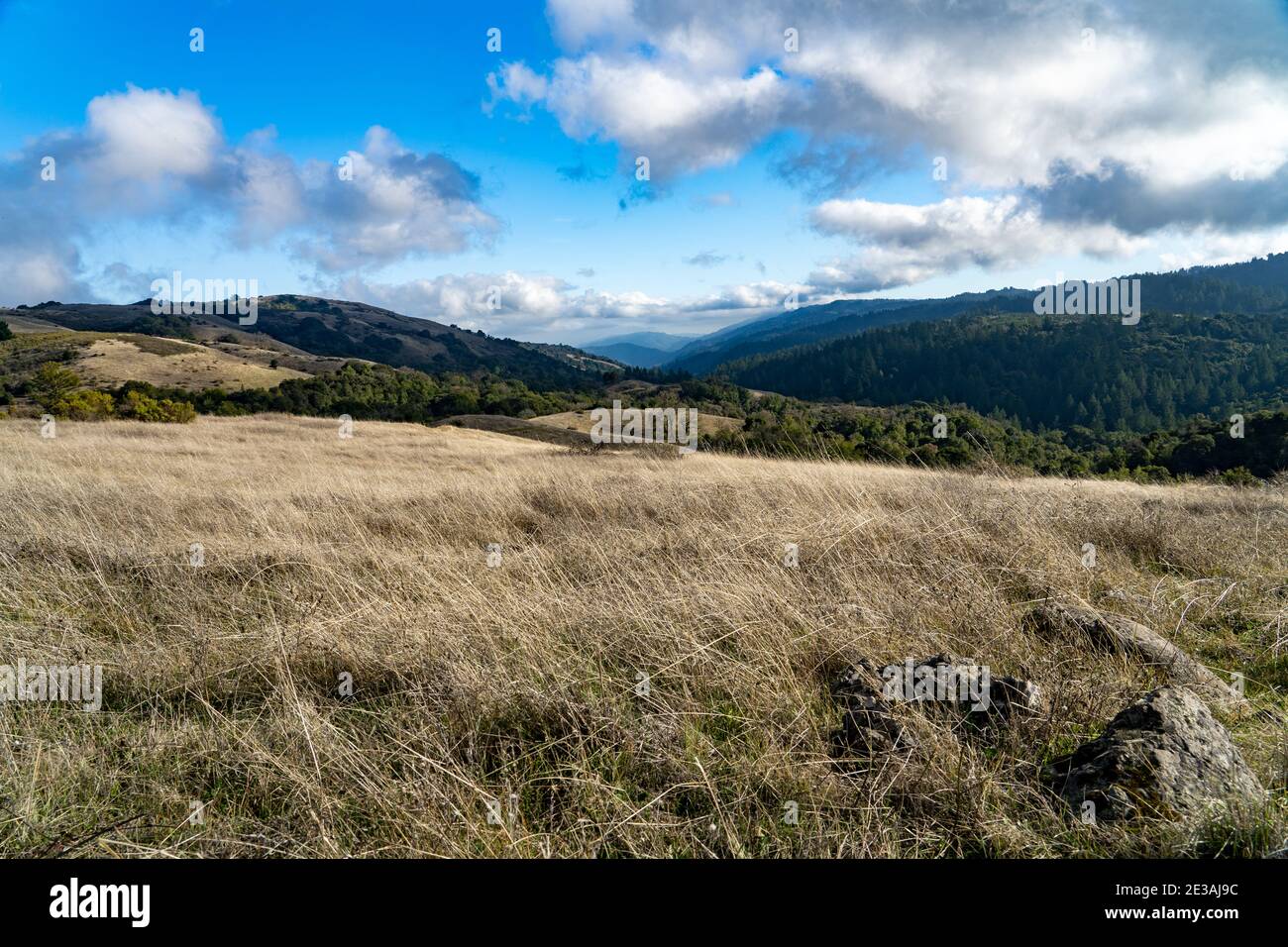 Bay Area Paesaggi Foto Stock