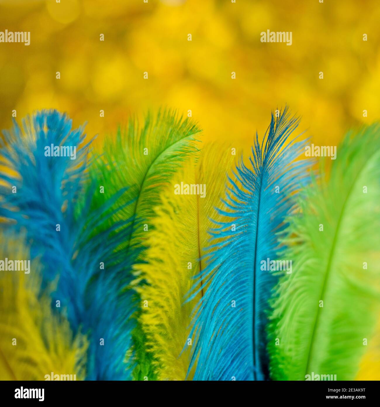 Le piume degli uccelli sono verdi, gialle e blu. Colori della bandiera del  Brasile. Testa per un costume da carnevale Foto stock - Alamy