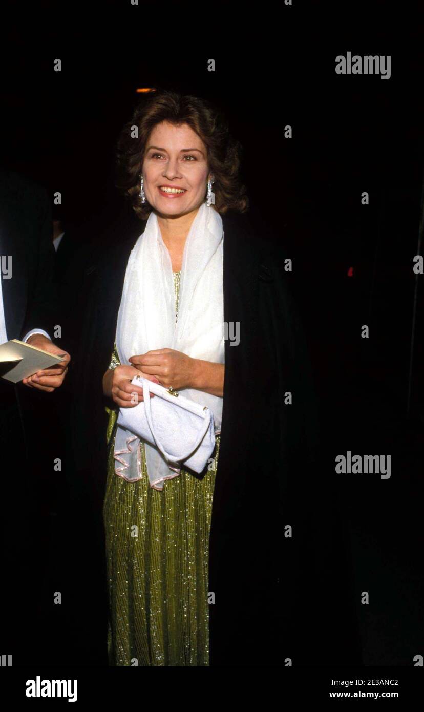 F1881 1985 DIANE BAKER Credit: Ralph Dominguez/MediaPunch Foto Stock