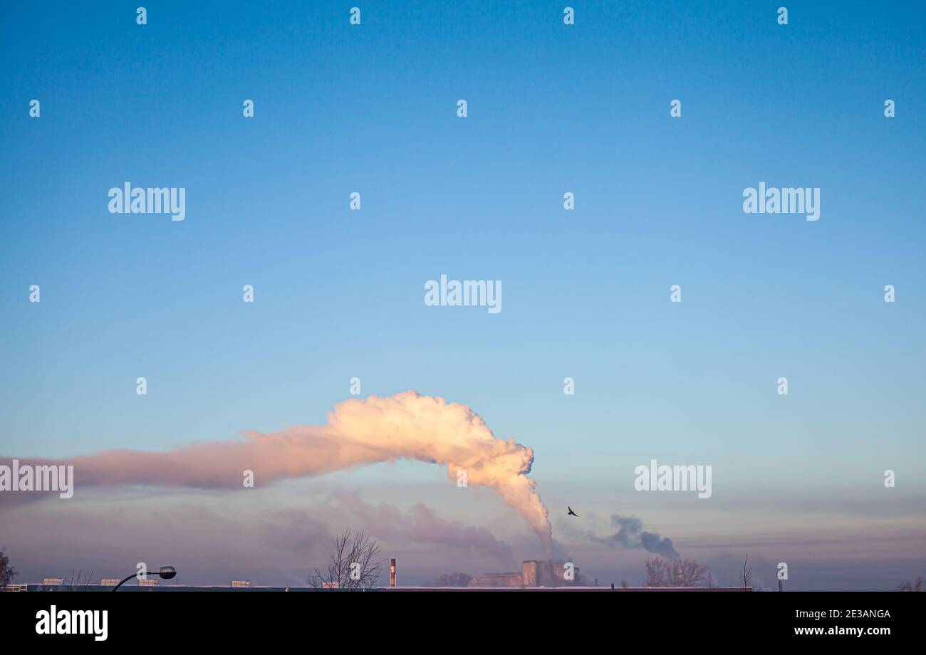 Fumo bianco spesso dal camino del locale caldaia. Fumo contro il cielo blu. Inquinamento atmosferico. Riscaldamento della città. Zona industriale. Foto Stock
