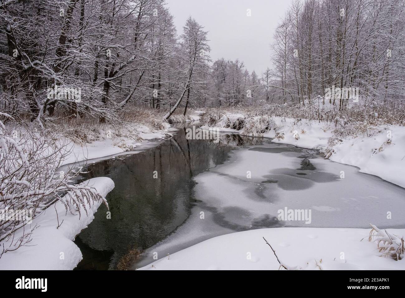 Paesaggio invernale con un piccolo fiume forestale in una giornata nuvolosa, la Russia. Foto Stock