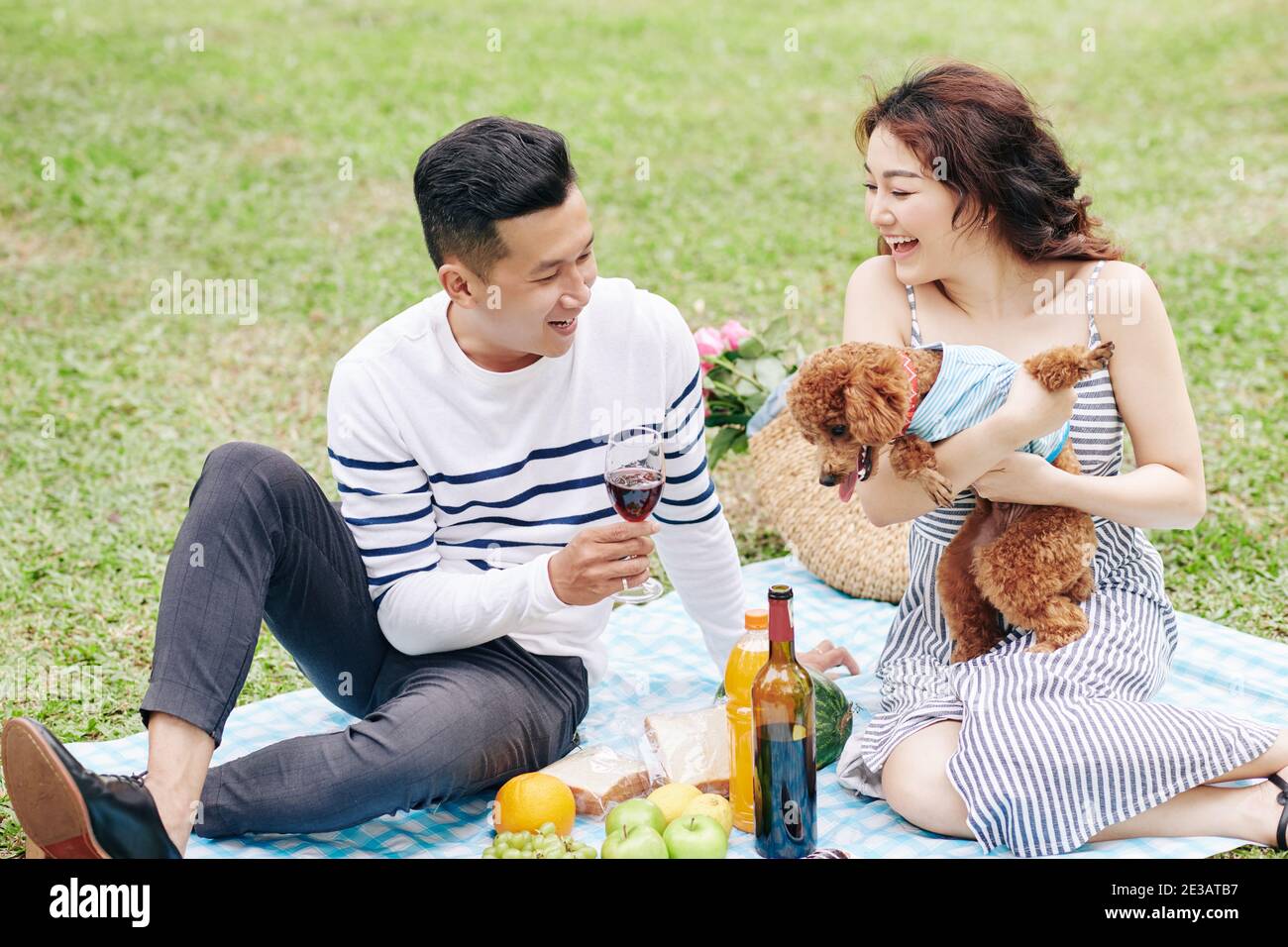 Giovane coppia godendo di pinninc nel parco, bevendo vino e giocando con il cane Foto Stock