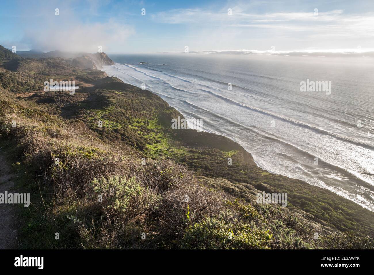 La natura selvaggia della costa californiana nel litorale nazionale di Point Reyes sulla costa occidentale degli Stati Uniti. Foto Stock