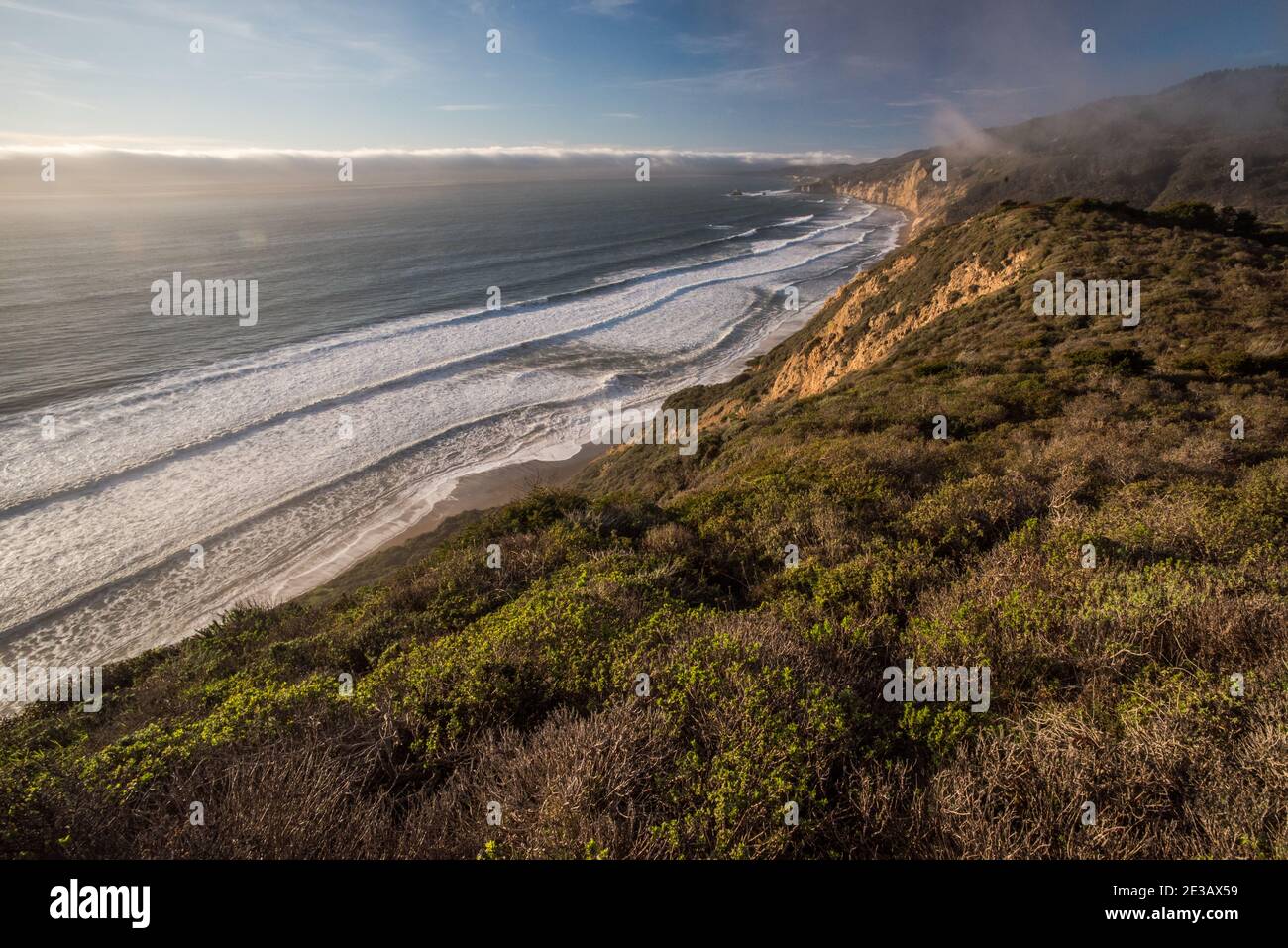 La costa incontaminata di Point Reyes National Seashore, dove l'oceano incontra le scogliere e chaparral, appena a nord di San Francisco in California, Stati Uniti. Foto Stock