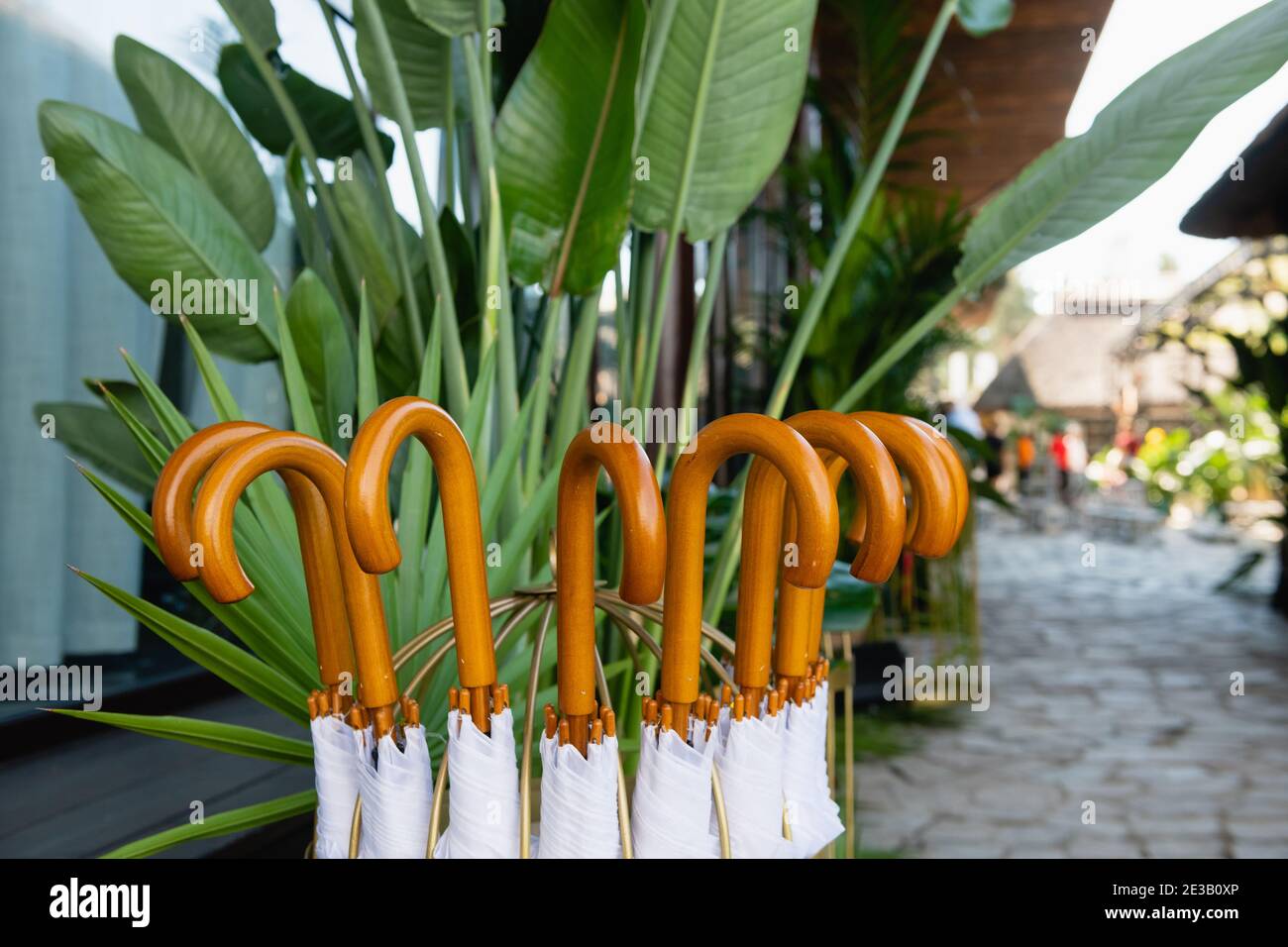 Hotel stand con molti ombrelloni di canna bianca Foto Stock
