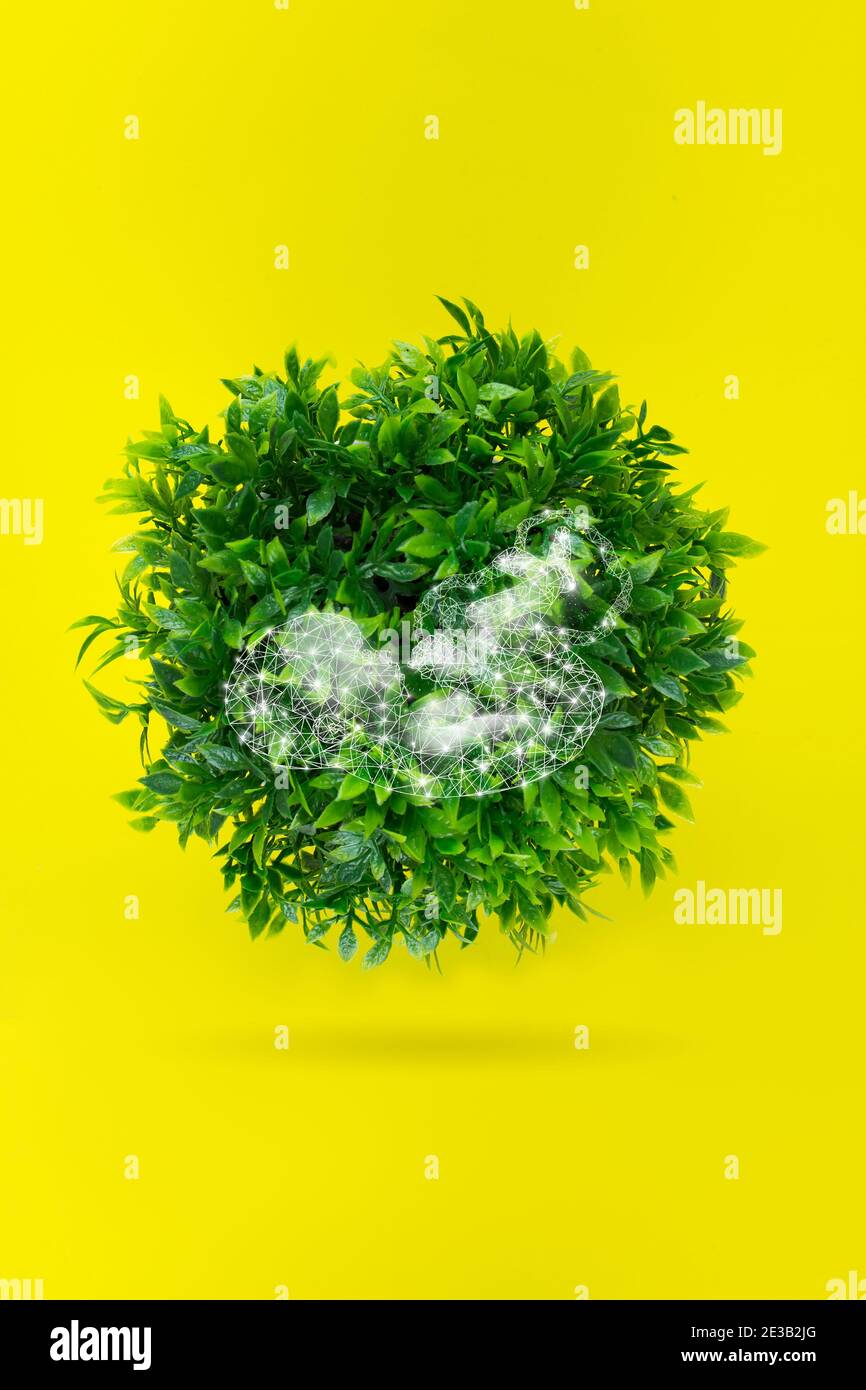 Globo mondiale forma di erba verde con feto gologramma su sfondo giallo. Vita sulla terra - ambiente e concetto di ecologia Foto Stock