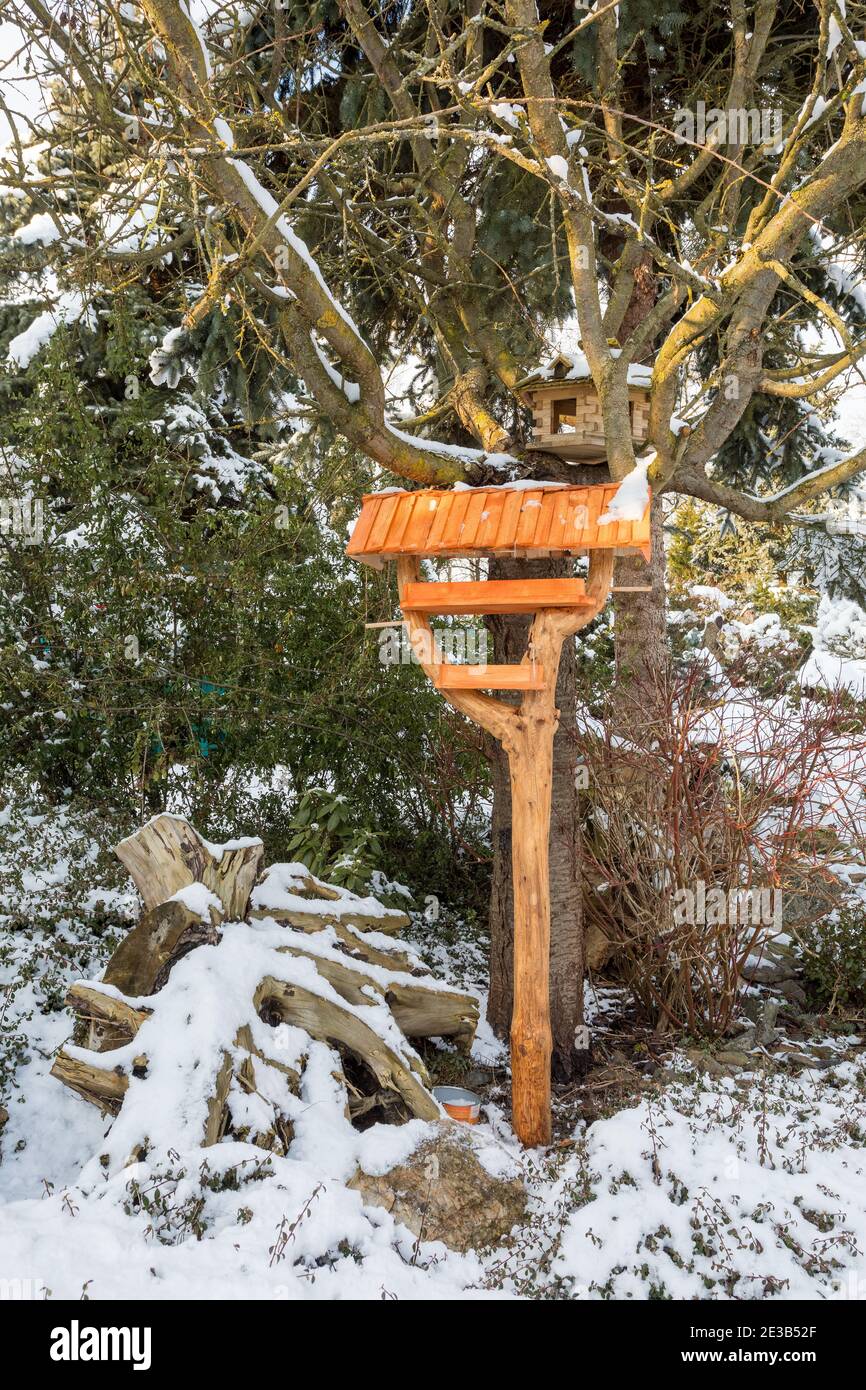 casa birdhouse in legno o alimentatore installato sul giardino d'inverno in giornata innevata Foto Stock