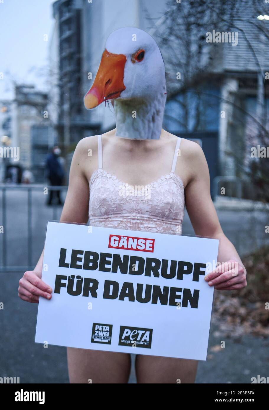 Berlino, Germania. 18 gennaio 2021. Un attivista dell'organizzazione per i diritti degli animali PETA dimostra di fronte al Kraftwerk Berlin, dove si svolgono gli eventi della Berlin Fashion Week. Ha un segno con l'iscrizione 'Live plucking for down' e indossa una maschera d'oca. PETA invita designer e stilisti ad utilizzare in futuro solo materiali animali-friendly e vegani. Credit: Kira Hofmann/dpa-Zentralbild/dpa/Alamy Live News Foto Stock