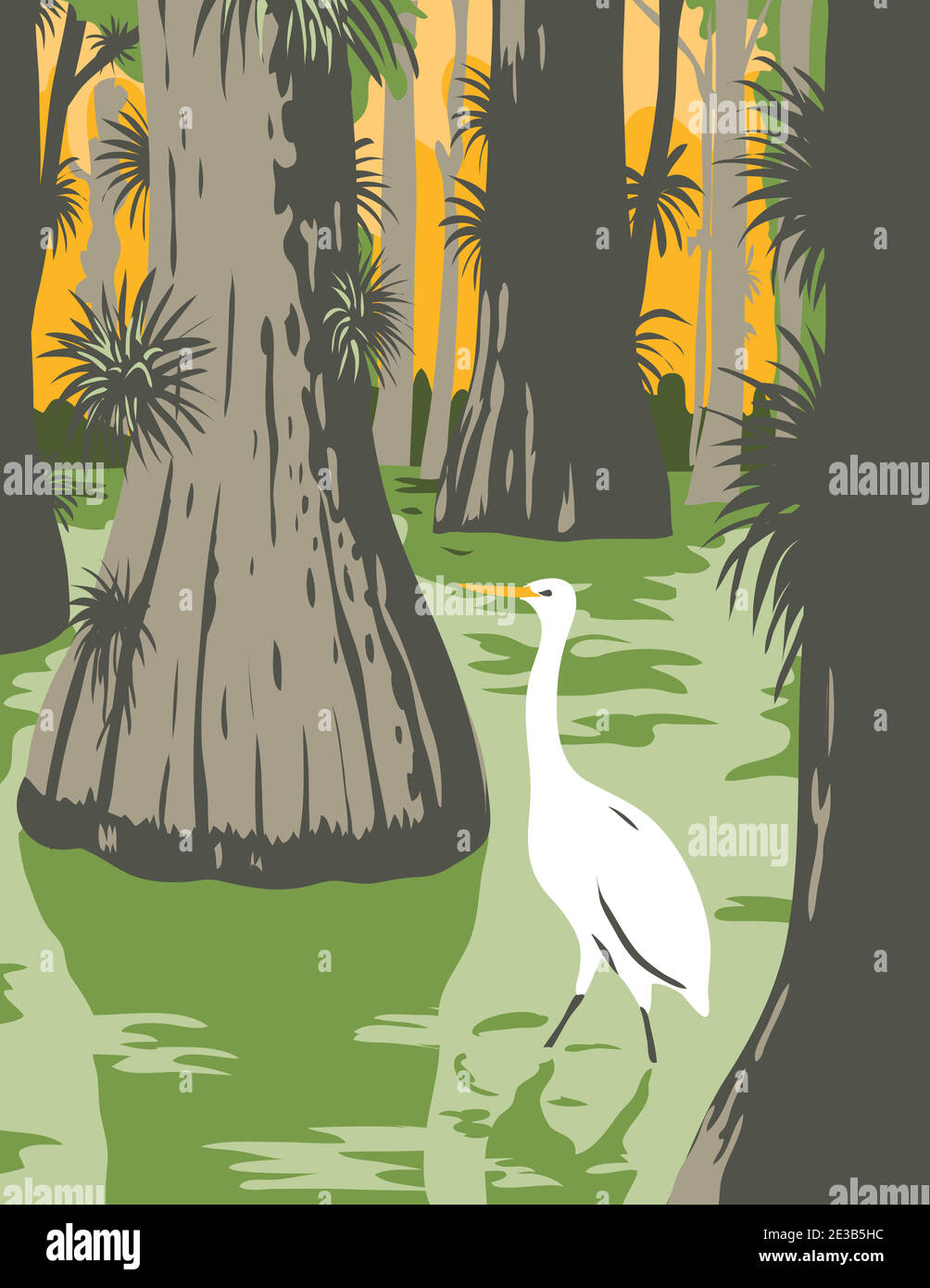 WPA poster art del Parco Nazionale Everglades, un parco nazionale americano in Florida con garzetta in palude mangrovie e cipressi alberi fatto in opere proj Illustrazione Vettoriale