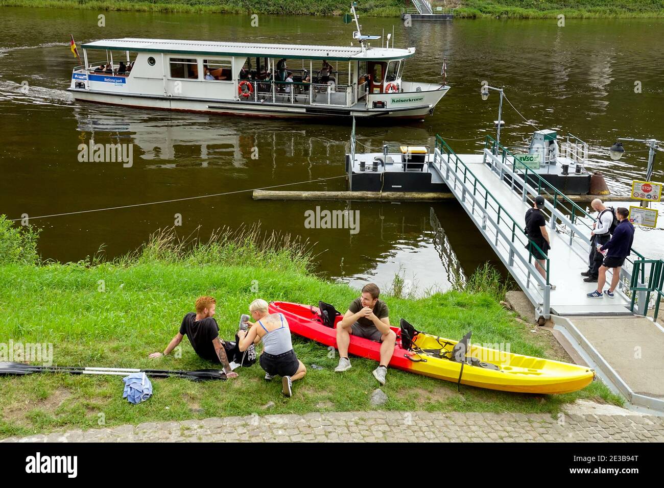 Traghetto sul fiume Elbe Schona Saxon Svizzera Germania Foto Stock