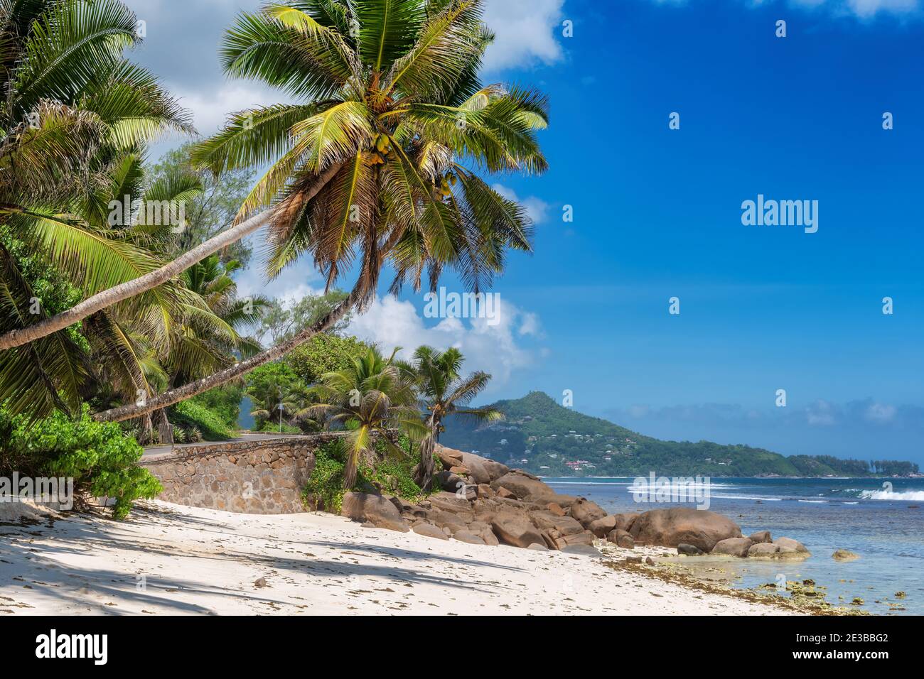 Spiaggia tropicale con palme e mare turchese alle Seychelles Foto Stock