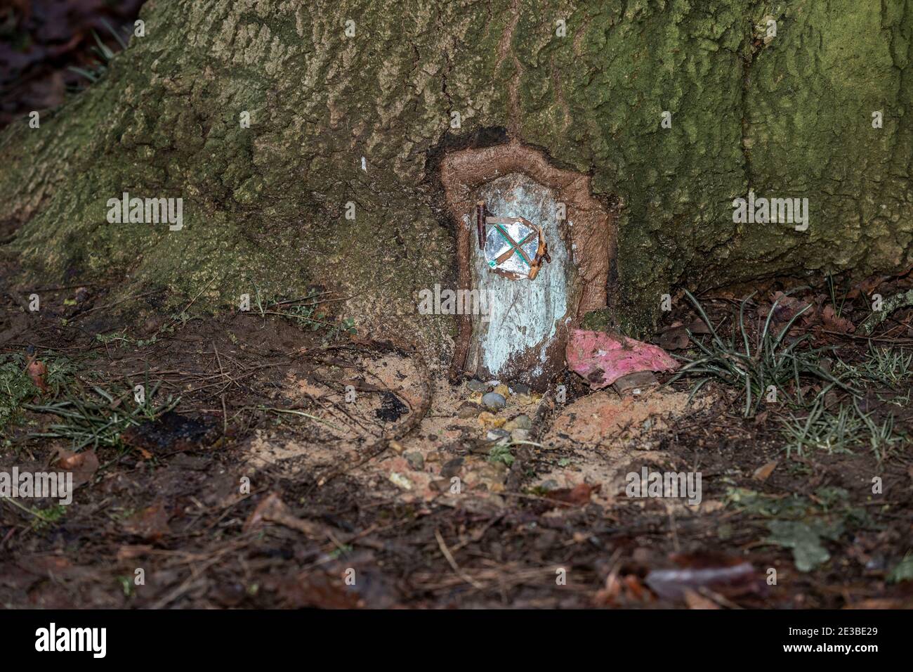 Northampton, Regno Unito, 18 gennaio 2021. Una porta Fantasy alla base di un grande albero in Abington Park, creatore sconosciuto. Credit: Keith J Smith./Alamy Live News Foto Stock