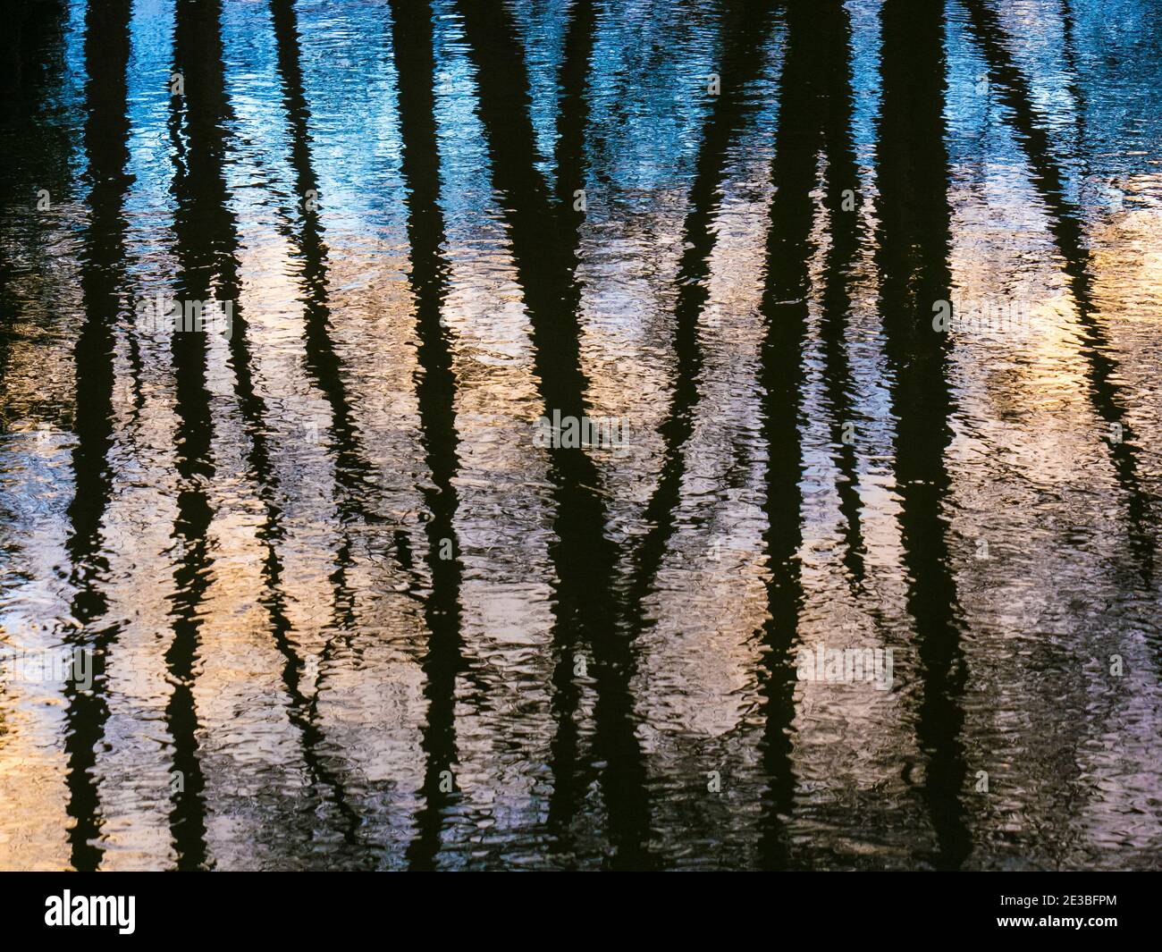Alberi astratti, Sunrise, riflessi nel fiume Kennett, Reading, Berkshire, Inghilterra, Regno Unito, GB. Foto Stock