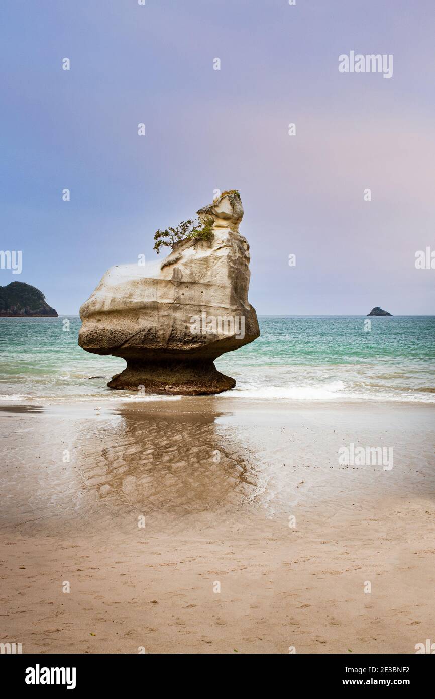 Cathedral Cove (te Whanganui-A-Hei) su Coromandel Penisula in Nuova Zelanda. Famosa attrazione turistica sull'Isola del Nord. Foto Stock