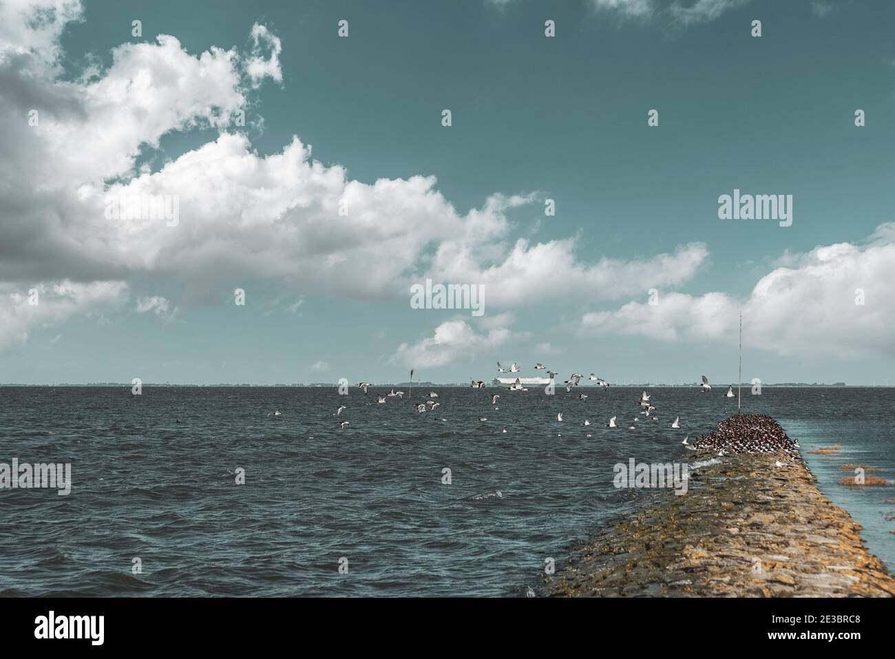 Paesaggio alla foce del Weser, Fedderwardersiel, bassa Sassonia, Germania, Europa Foto Stock