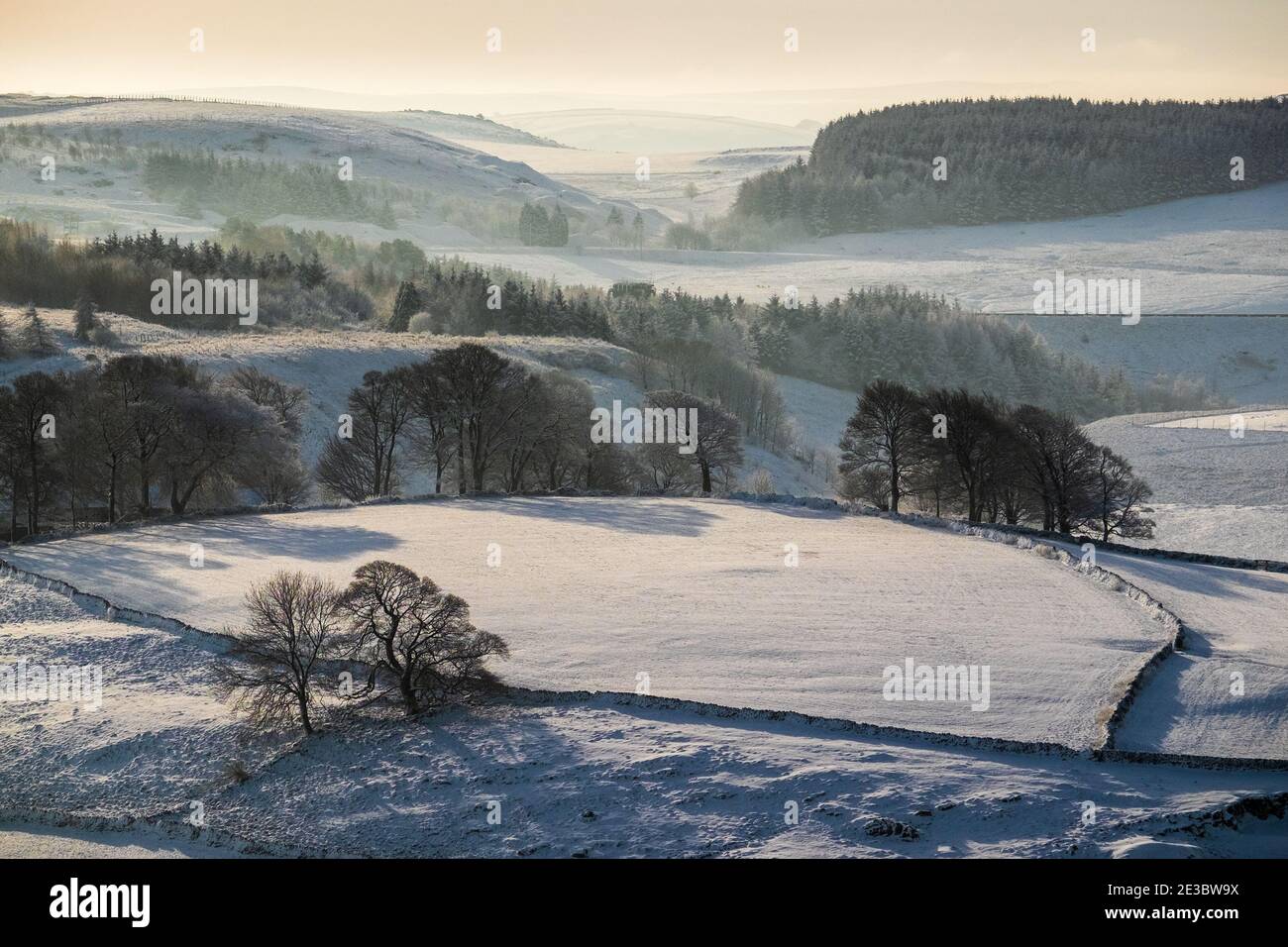 Scenario invernale di campi, neve e alberi nel Peak District Foto Stock
