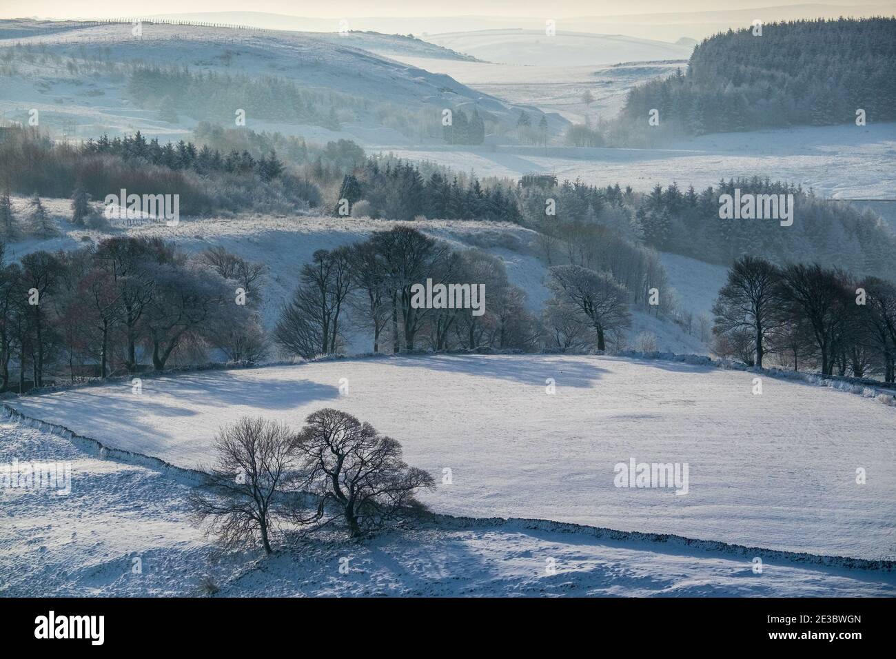 Scenario invernale di campi, neve e alberi nel Peak District Foto Stock