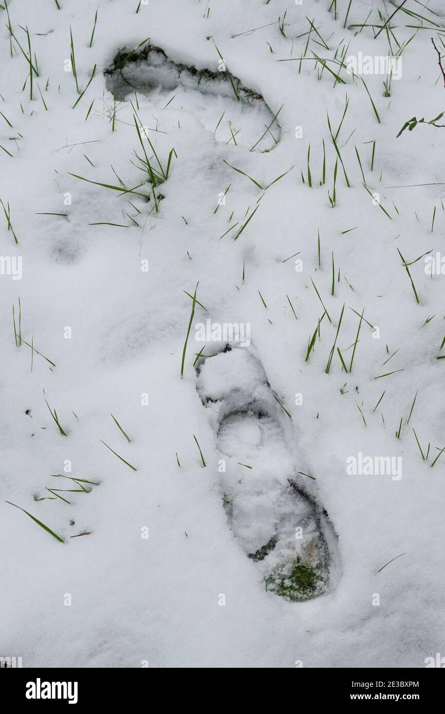 Impronte nella neve, Giardino dopo la nevicata, Lione, Francia Foto Stock