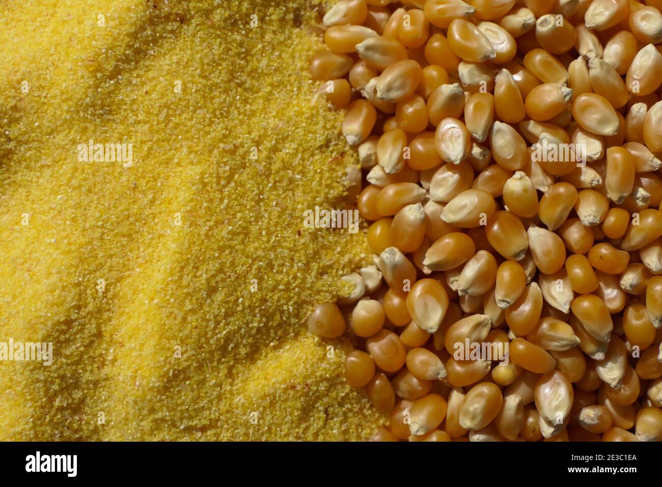 Chicchi di mais interi e mais grattugiato pronti per cucinare la polenta Foto Stock