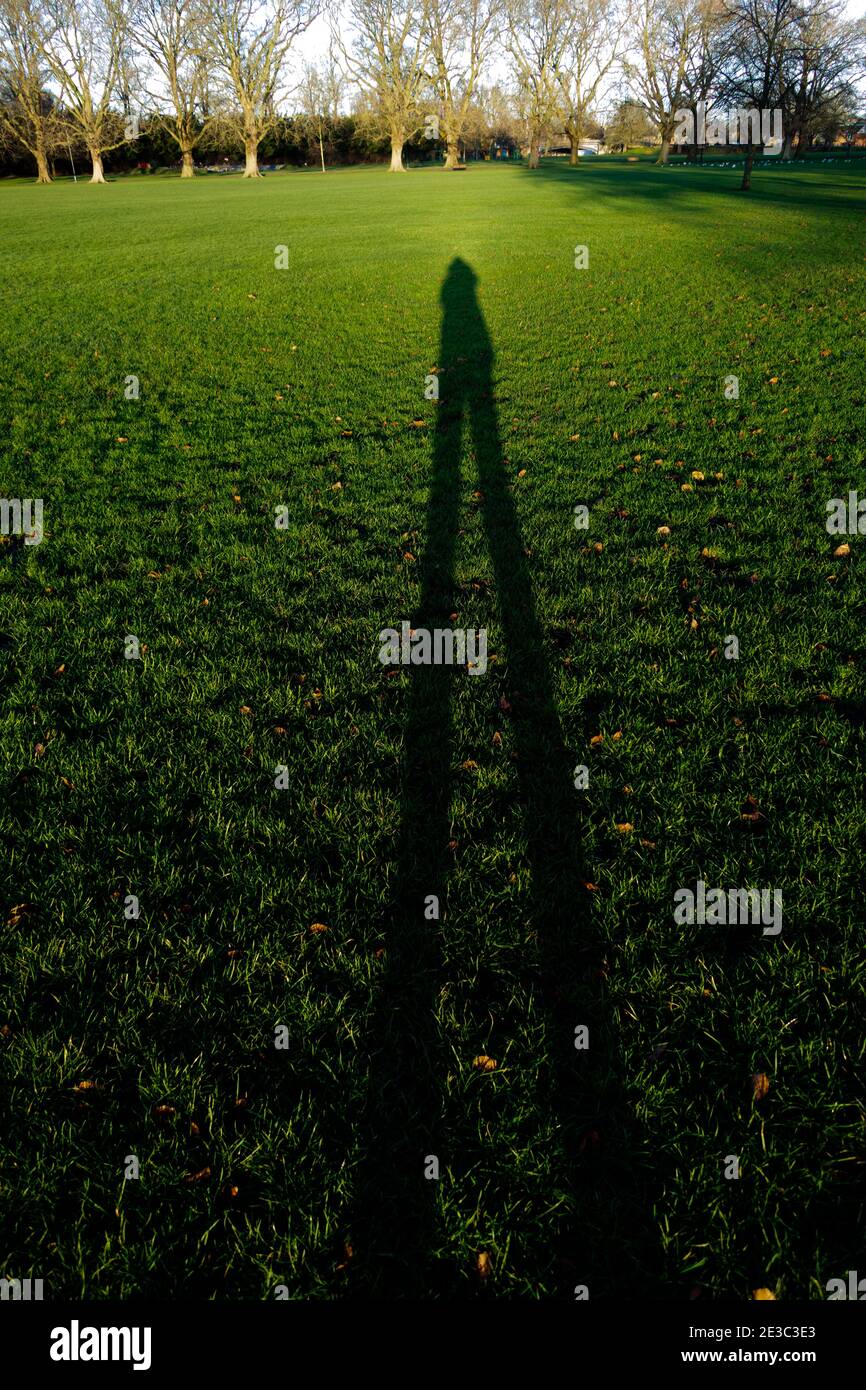 Lunga ombra di persona che mostra molto sulle gambe sull'erba, Cambridge Inghilterra Foto Stock