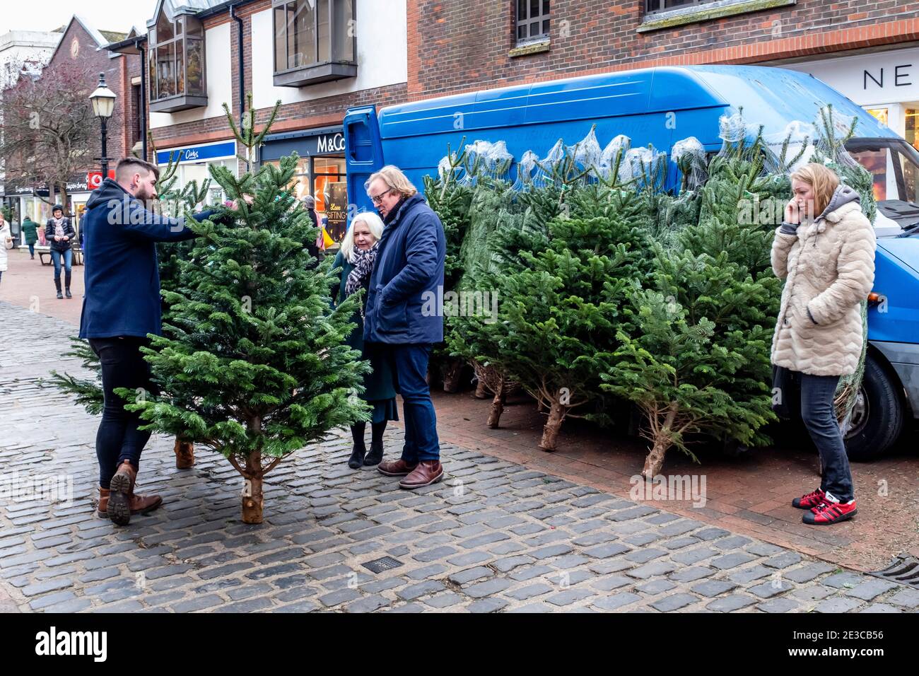 Gente locale che sceglie UN albero di Natale, Lewes, Sussex orientale, Regno Unito. Foto Stock