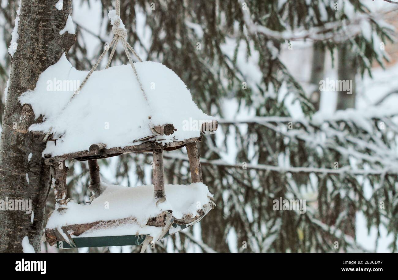 Alimentatore di uccelli coperto di neve su un albero nel parco Foto Stock