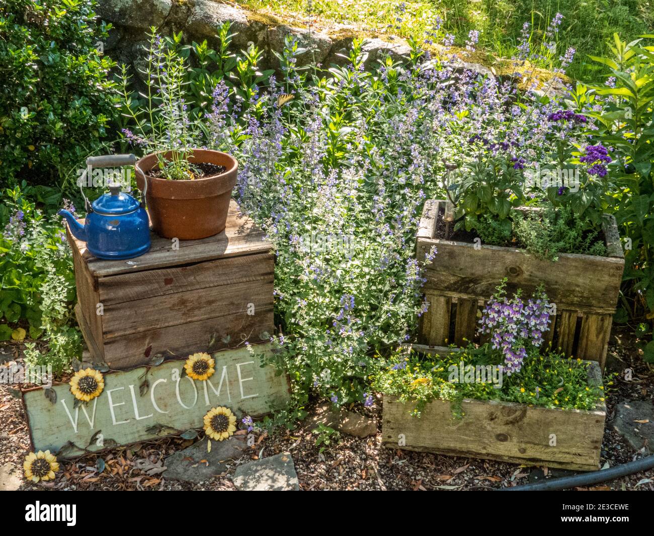 Un giardino sul retro Foto Stock