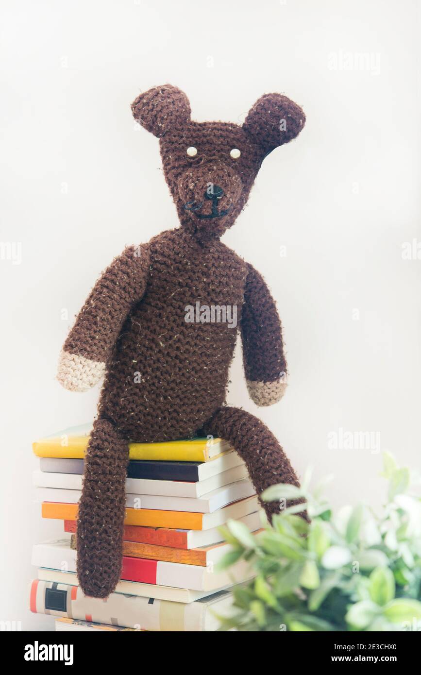 orso teddy in casa Foto Stock