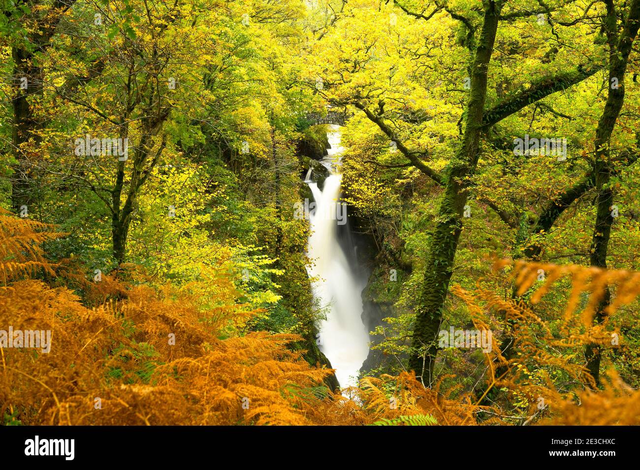 Una giornata autunnale alla cascata Aira Force nel lago Distretto Foto Stock