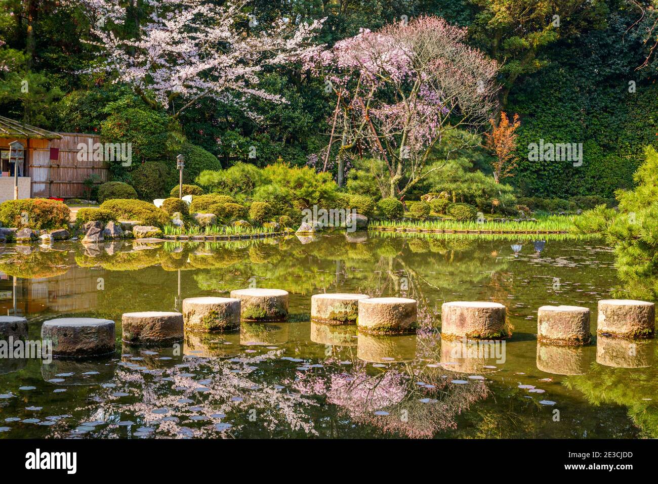 Pietre a passo al Santuario Heian durante la stagione primaverile a Kyoto, Giappone. Foto Stock