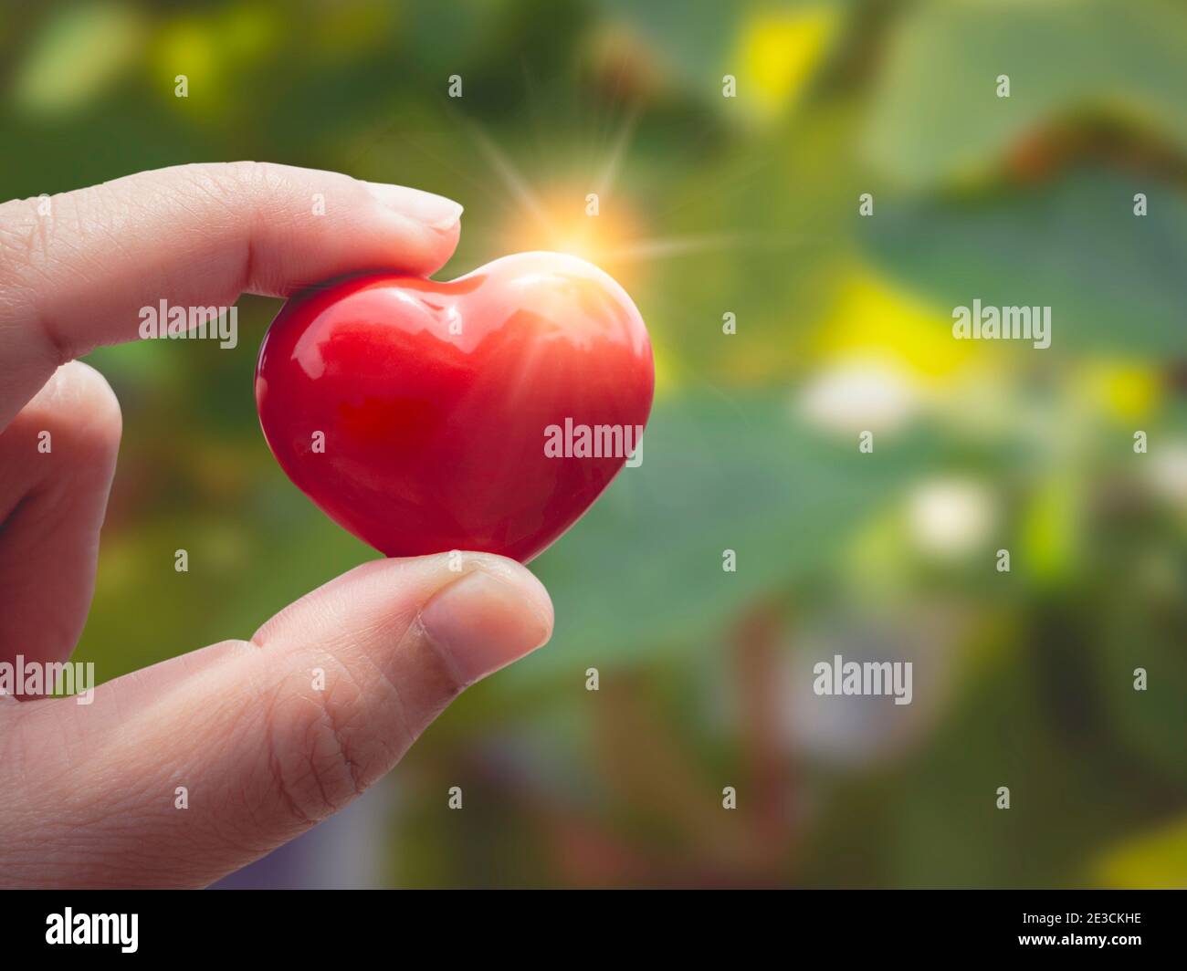 Donna mano che tiene il cuore rosso su sfondo verde naturale con luce riflessa. San Valentino con dolce, romantico momento e San Valentino saluto c Foto Stock