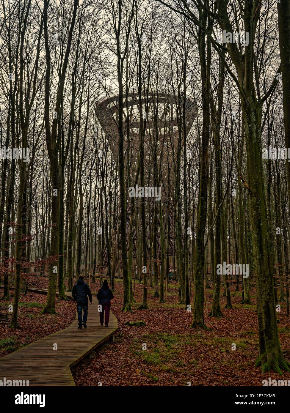 Skovtaarnet Forest Tower vicino al castello di Gisselfeld in Danimarca Foto Stock