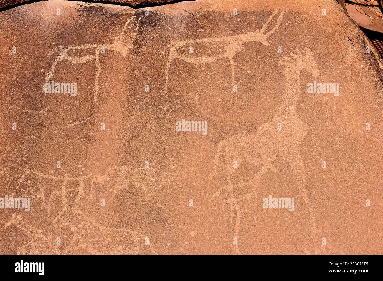 Boscimani che intaglia a Twyfelfontein, antiche incisioni rupestri nella Regione Kunene della Namibia nord-occidentale. Foto Stock