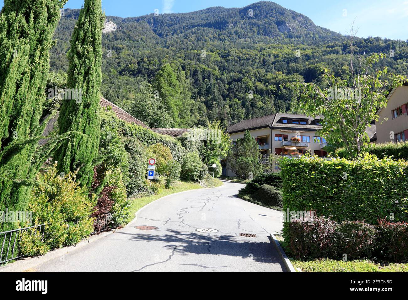 Varietà di piante creano un bellissimo paesaggio. Foto Stock