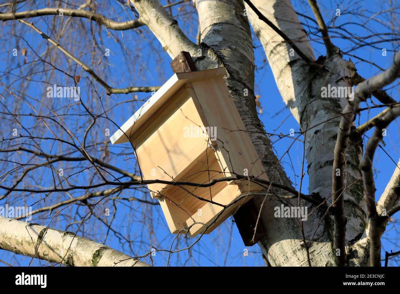 Una casa di pipistrelli in legno è stata fissata su un tronco di betulla nel parco pubblico nella tenuta di alloggio di Gartlaw a Varsavia. Foto Stock