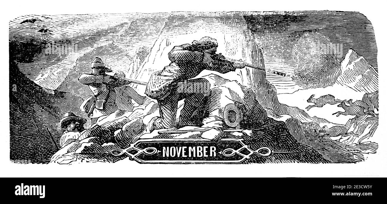 Mese di novembre nel Calendario svizzero illustrato del 1853 con i mesi dell'anno e le motivazioni corrispondenti, San Gallo Svizzera 1853 Foto Stock