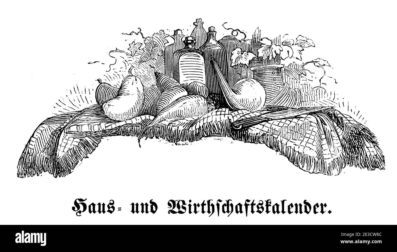 Swiss Home Economics Calendario sulle date e i suggerimenti dei diversi soggetti con motivi corrispondenti, San Gallo Svizzera 1853 Foto Stock