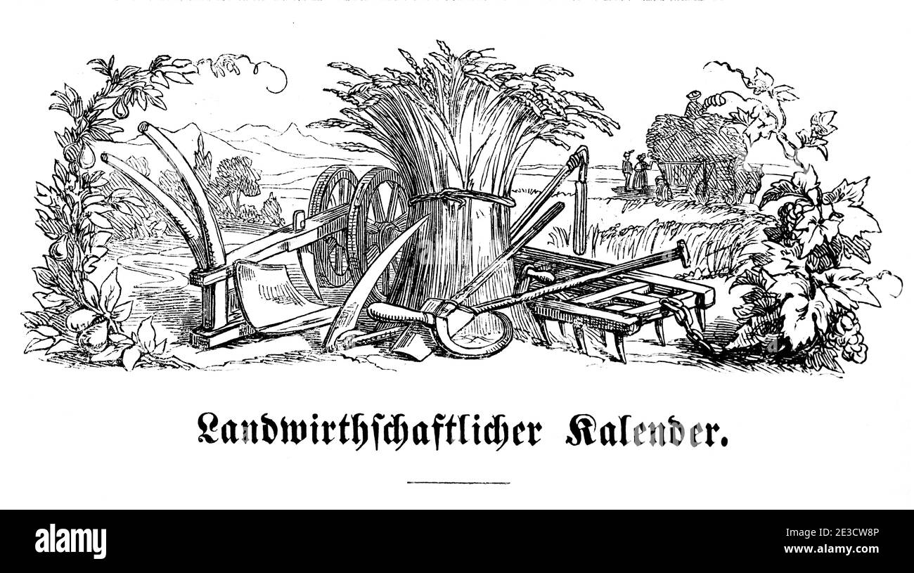 Calendario svizzero dell'agricoltura relativo a date e accenni di materie diverse con motivi corrispondenti, San Gallo Svizzera 1853 Foto Stock