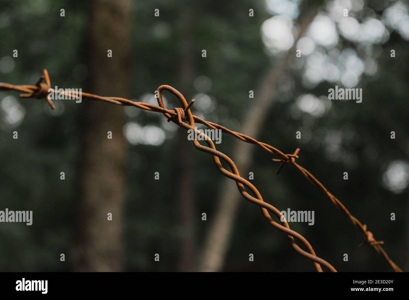 Primo piano di fili di recinzione arrugginiti che si incrociano tra loro Foto Stock