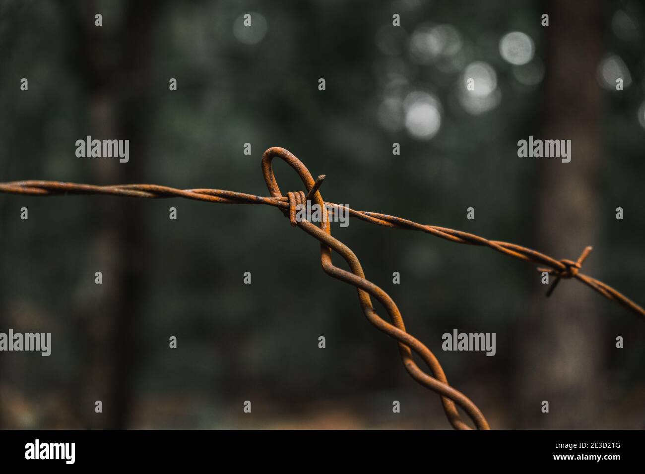 Primo piano di fili di recinzione arrugginiti che si incrociano tra loro Foto Stock