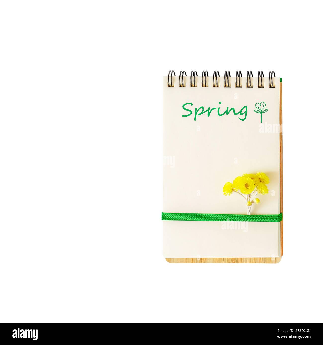 Taccuino aperto isolato con un foglio bianco, la molla di iscrizione, spazio di copia, fiori di primavera e con l'iscrizione Primavera su uno sfondo bianco. Foto Stock