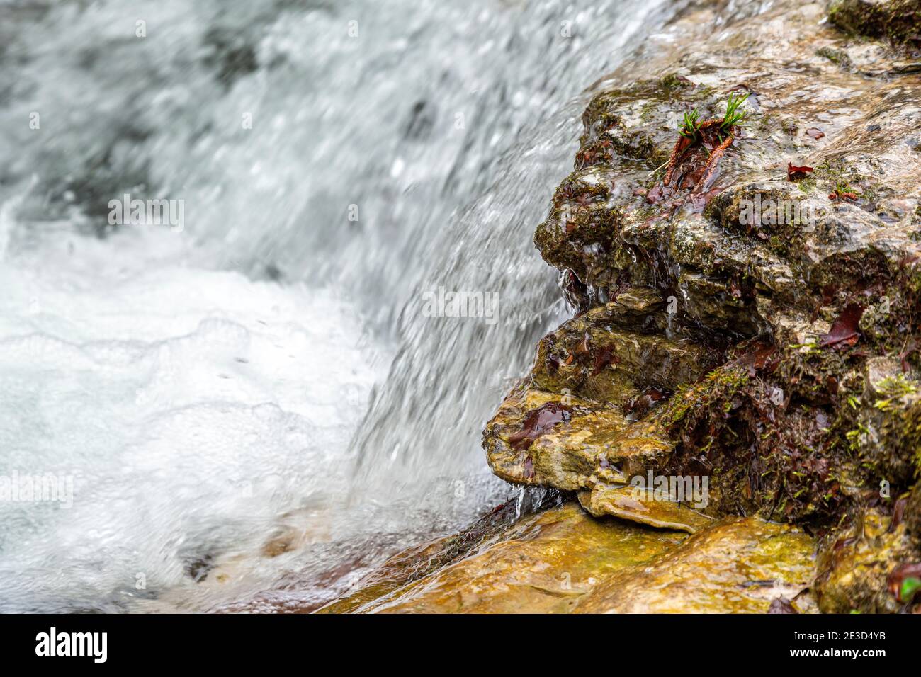 Vista ravvicinata dalla bellissima pietra con foglie. Una piccola cascata sullo sfondo. Foto Stock