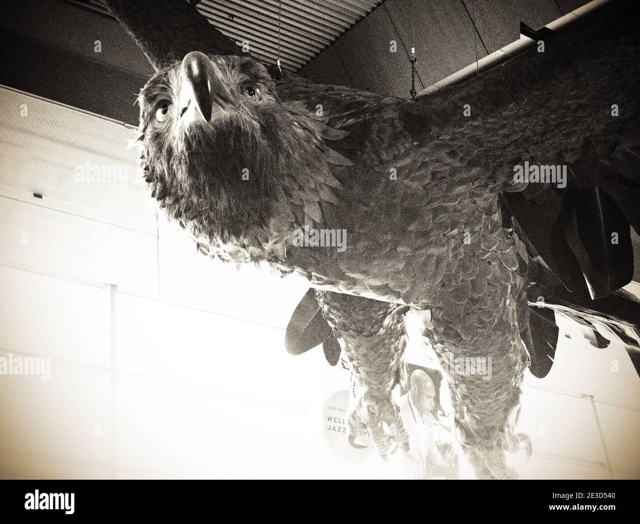 Eagle all'aeroporto di Wellington dal Signore degli anelli Foto Stock