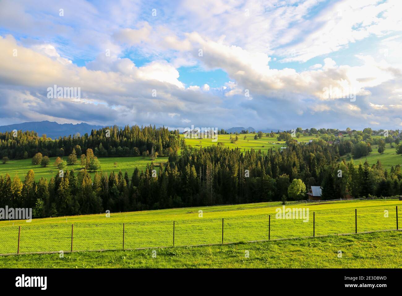 Prati verdi vividi e boschi paesaggio di campagna con i Monti Tatra sullo sfondo e il cielo nuvoloso drammatico, visto da Poronin in Polonia. Foto Stock