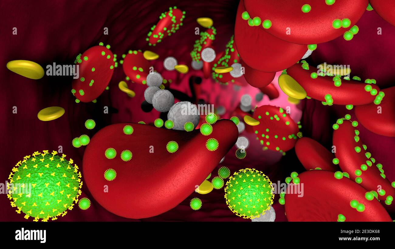 Modello 3D di coronavirus verde che attacca i globuli rossi nel flusso sanguigno con globuli bianchi e piastrine all'interno di una vena. Illustrazione 3D Foto Stock