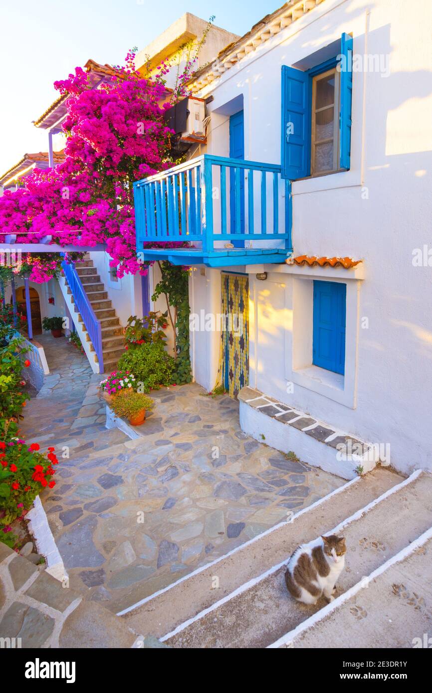 Il vecchio villaggio di Chora nell'isola di Alonnisos, Grecia. Foto Stock