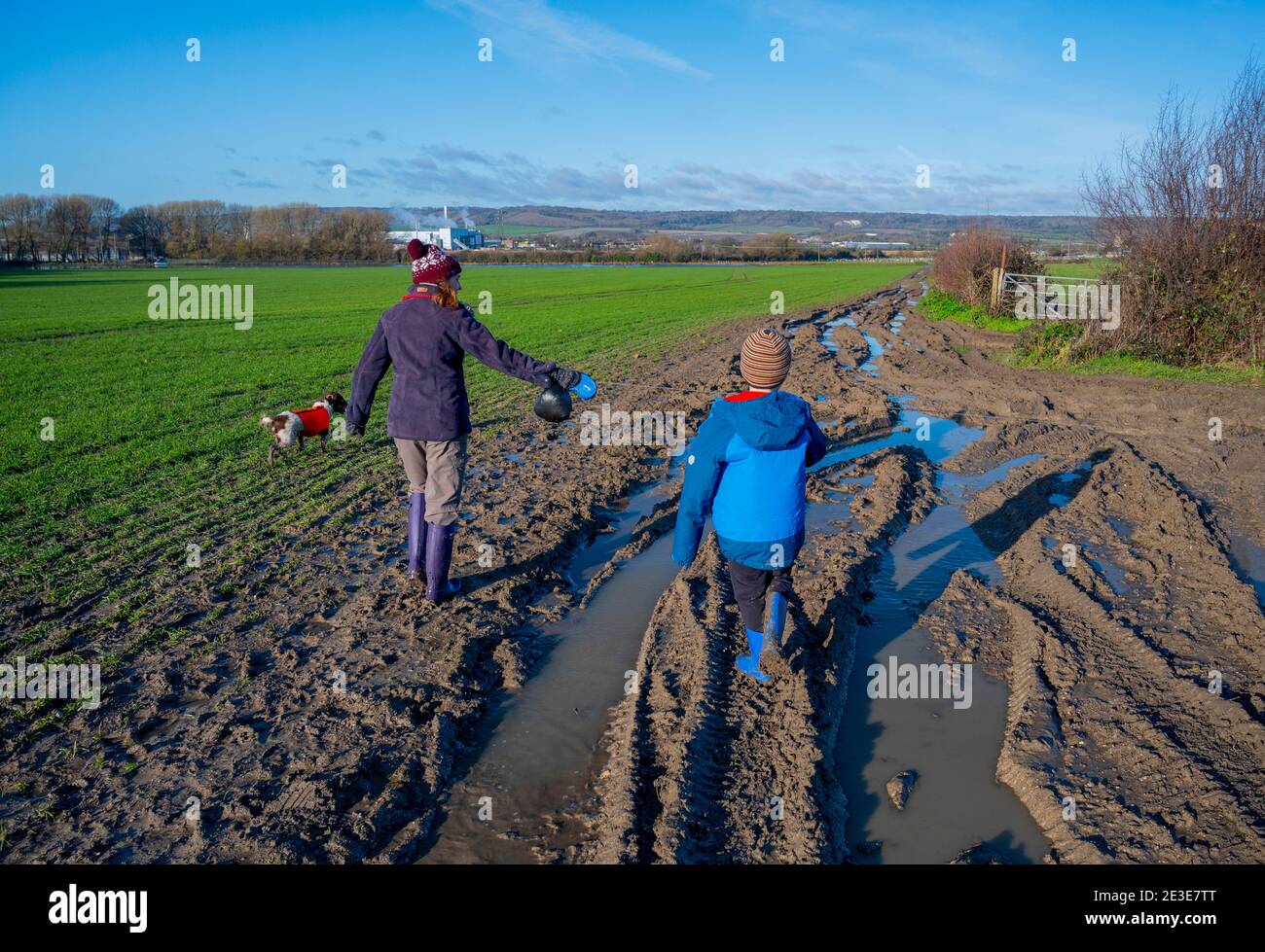 Madre e figlio che camminano con cani attraverso allagati e fangosi Campi in Kent dopo la pioggia pesante in gennaio Foto Stock