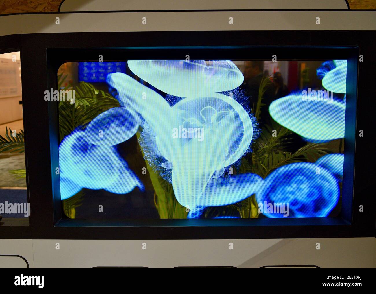 Modulo display in vetro OLED trasparente Panasonic, presentato nello stand espositiva al CES, la più grande fiera al mondo di Las Vegas, NV, USA Foto Stock