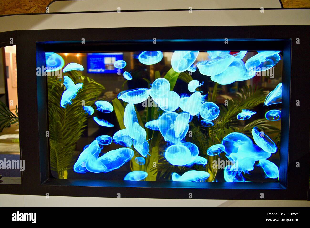 Modulo display in vetro OLED trasparente Panasonic, presentato nello stand espositiva al CES, la più grande fiera al mondo di Las Vegas, NV, USA Foto Stock